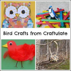 Birds Crafts from Craftulate