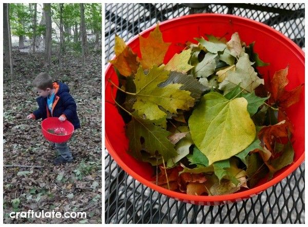 Crushed Leaf Collage for Kids - a fun art activity for the fall!