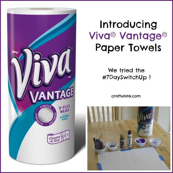 Introducing Viva Vantage Paper Towels