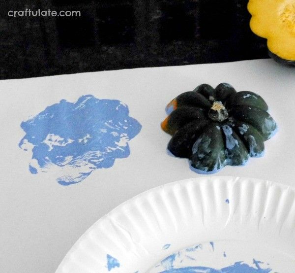 Acorn Squash Flowers