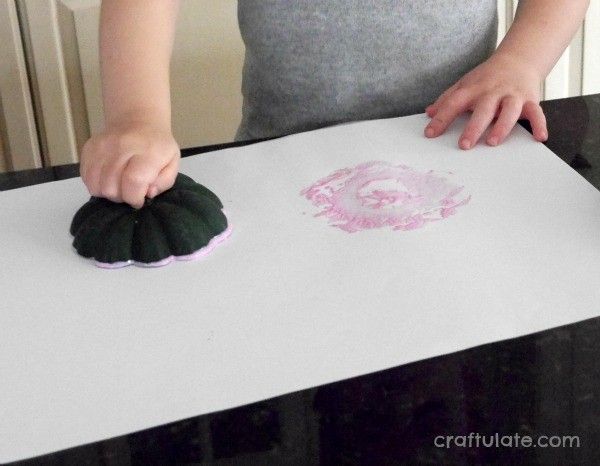 Acorn Squash Flowers