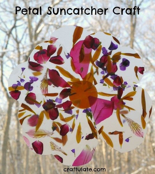 Petal Suncatcher Craft - a beautiful nature craft for kids to make