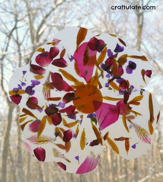 Petal Suncatcher Craft - a beautiful nature craft for kids to make