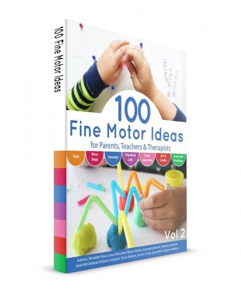 100 Fine Motor Ideas - the book