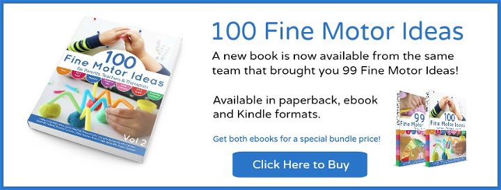 100 Fine Motor Ideas - the book