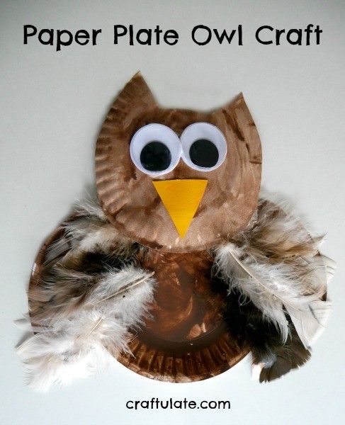 Paper Plate Owl Craft - a fun activity for kids