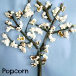Popcorn Trees