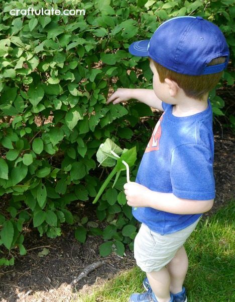 Leaf Bracelets - a really lovely way to celebrate nature with kids!