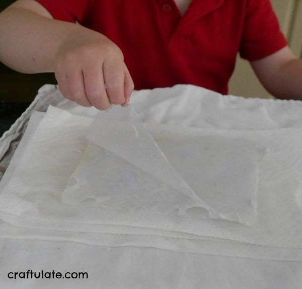 Making Paper with Kids - an educational activity with lots of fun variations!