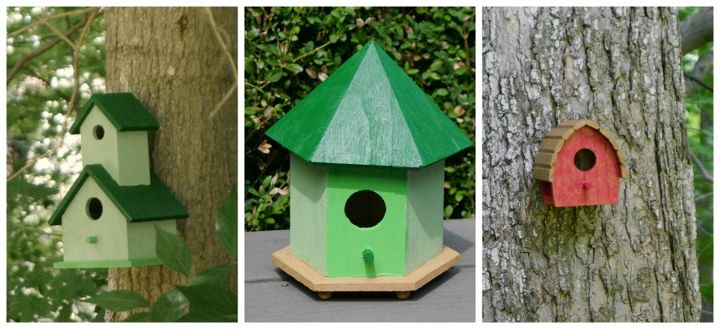 Painted Bird Houses for Kids - Craftulate