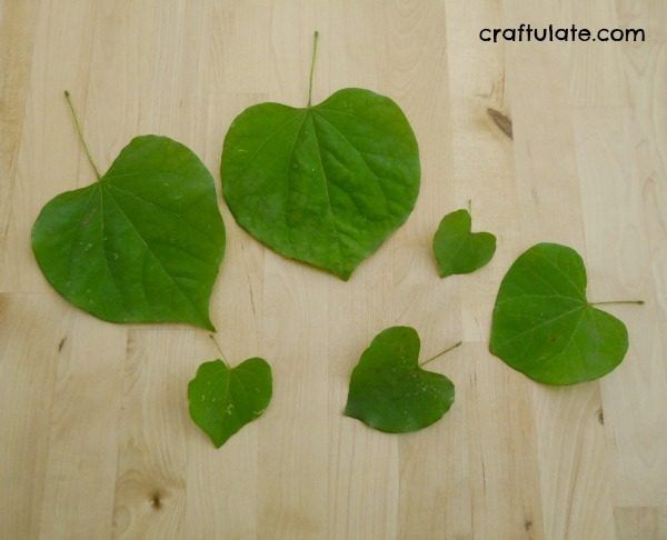 Redbud Leaf Hearts - a natural art project for kids!