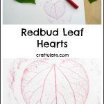 Redbud Leaf Hearts