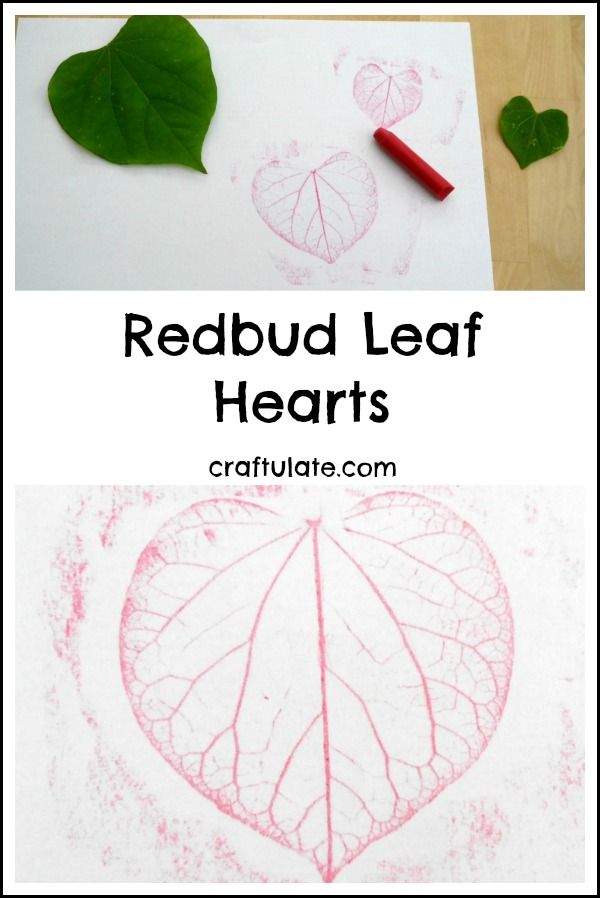 Redbud Leaf Hearts - a natural art project for kids!