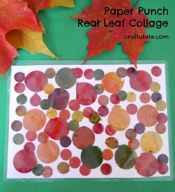 Paper Punch Real Leaf Collage - a fall art activity for kids