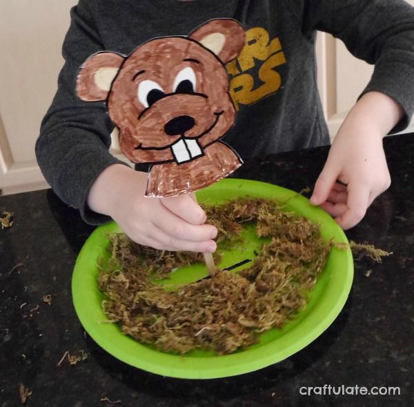 Paper Plate Groundhog Craft - a cute craft for kids to make
