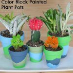 Color Block Painted Plant Pots