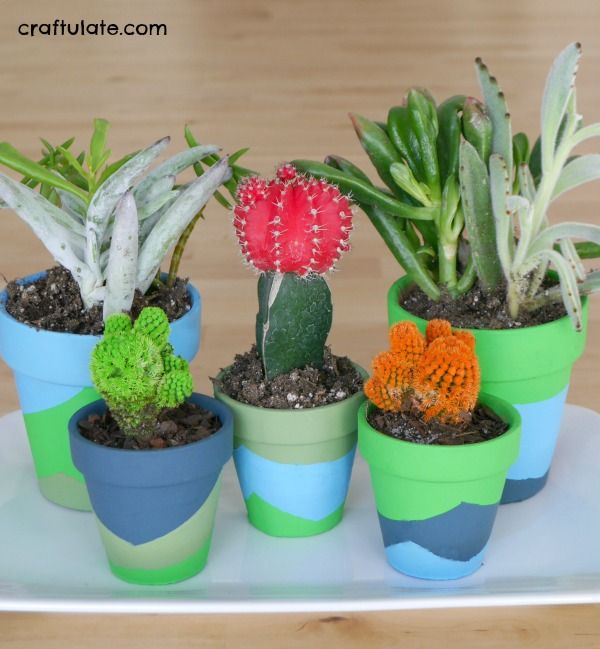 Color Block Painted Plant Pots - kids can help with this craft!