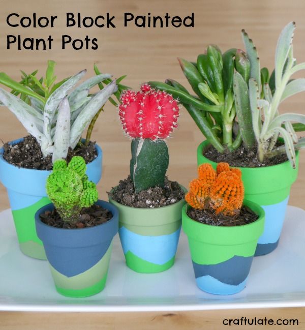 Color Block Painted Plant Pots - kids can help with this craft!