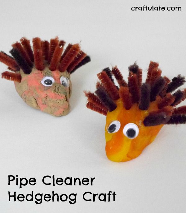 Pipe Cleaner Hedgehog Craft - an easy animal craft for kids to make