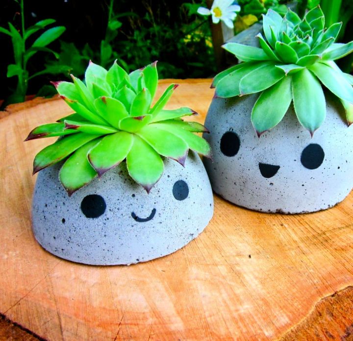 Cute Concrete Planters