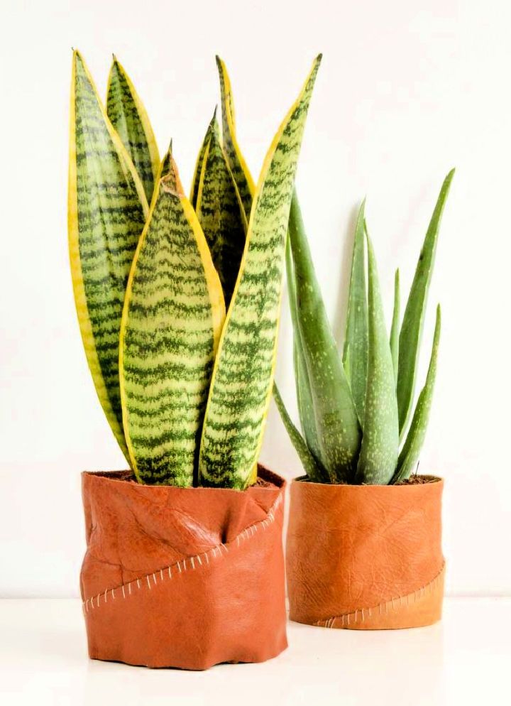 DIY Leather Plant Pot Holder