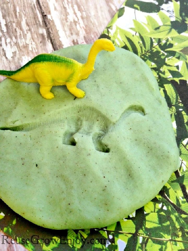 Dinosaur Fossils Craft 