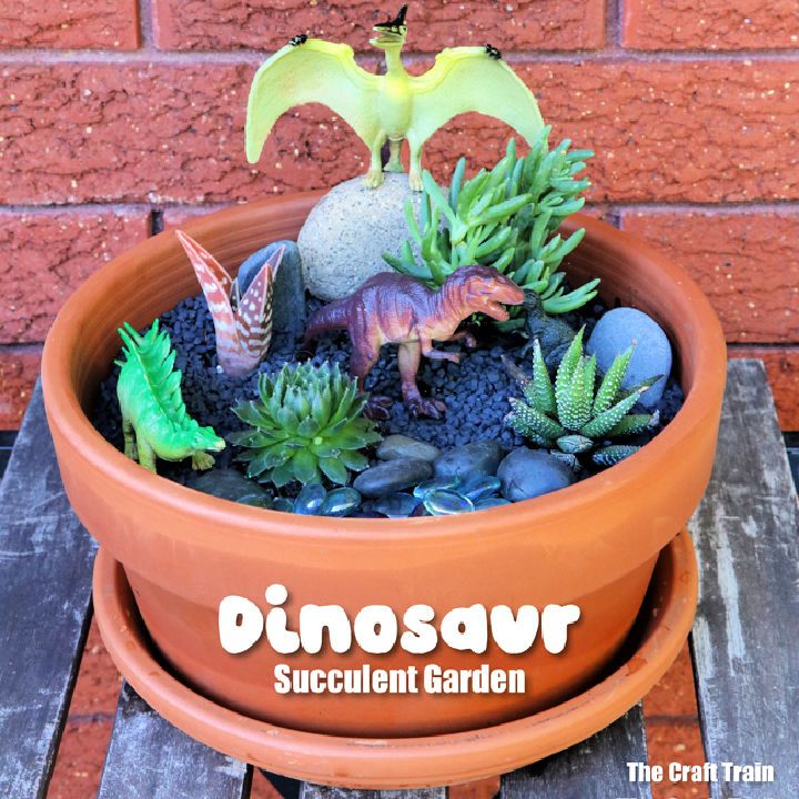 Dinosaur Succulent Garden