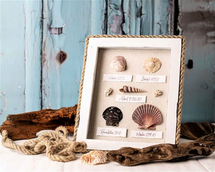 DIY Seashell Shadow Box