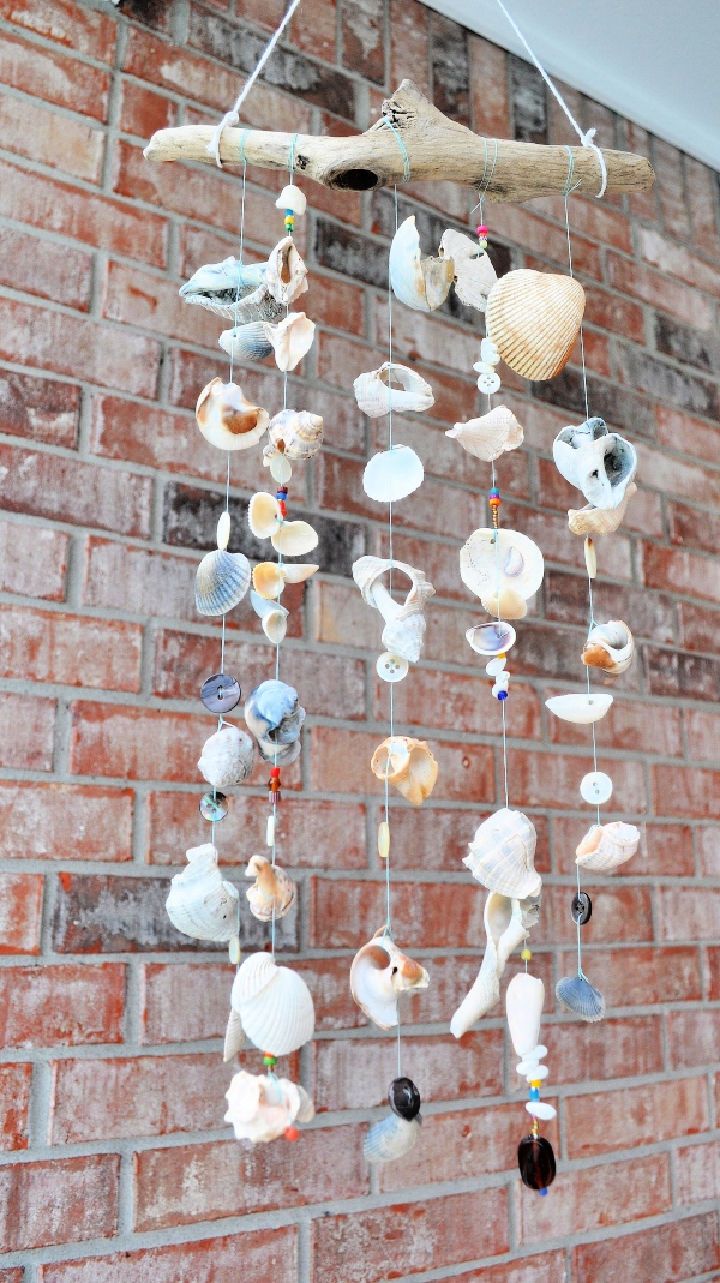 25 Easy Seashell Crafts and Decor Ideas - Craftulate