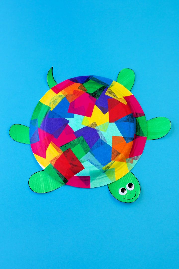 Tissue Paper and Paper Plate Turtle Craft