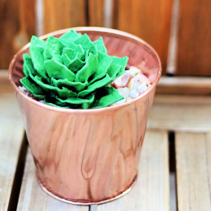 Upcycled Egg Carton Succulent
