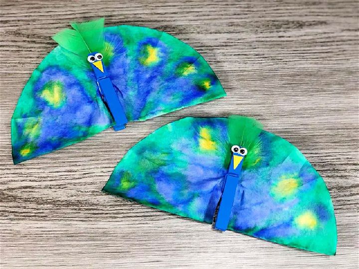 Coffee Filter Peacock Craft