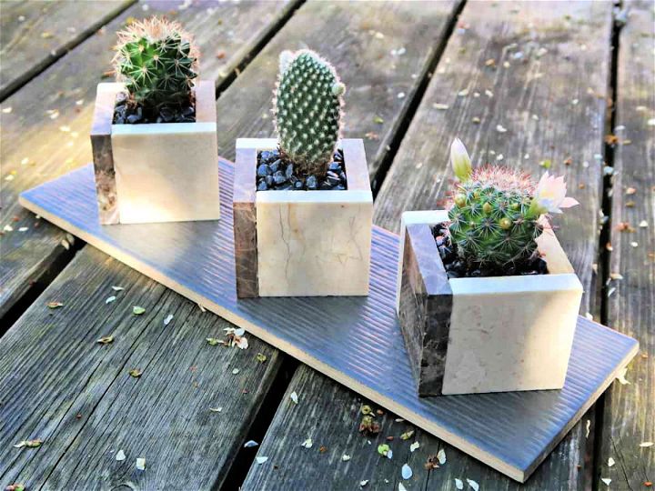 How to Make Cute Square Pots For Mini Cactus Plants