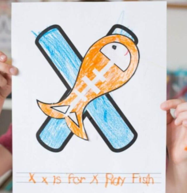 . Animal Alphabet X is for X ray Fish