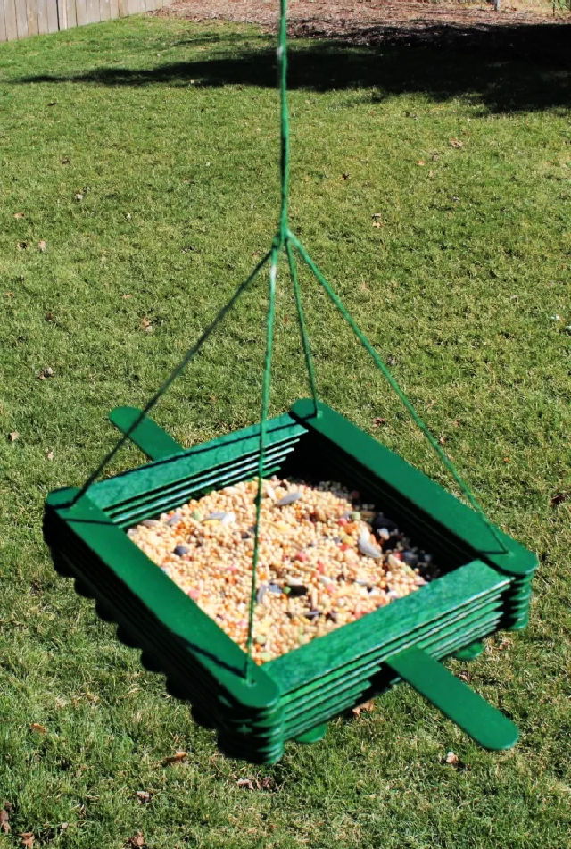 Best DIY Bird Feeder With Craft Sticks