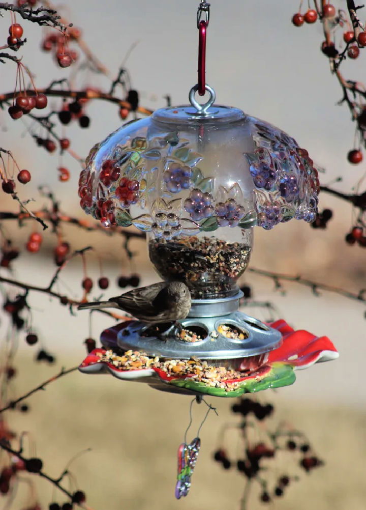 DIY Glass Dish Bird Feeder