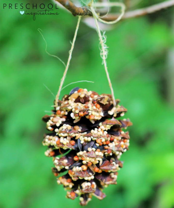 DIY Pine Cone Bird Feeder