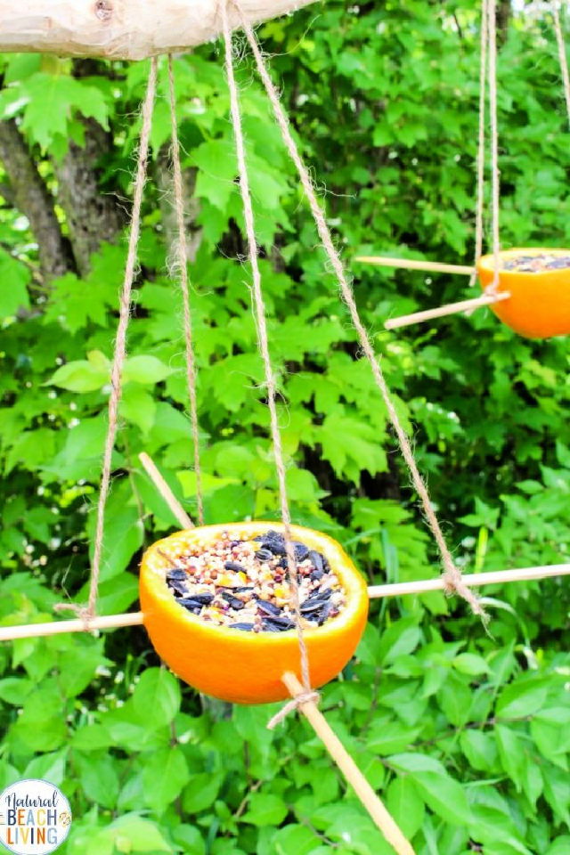 Easy DIY Orange Bird Feeder