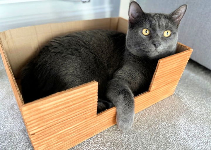 Making a Pimped Up Pet Bed Using Cardboard