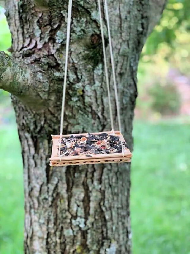 Popsicle Stick Bird Feeder Craft